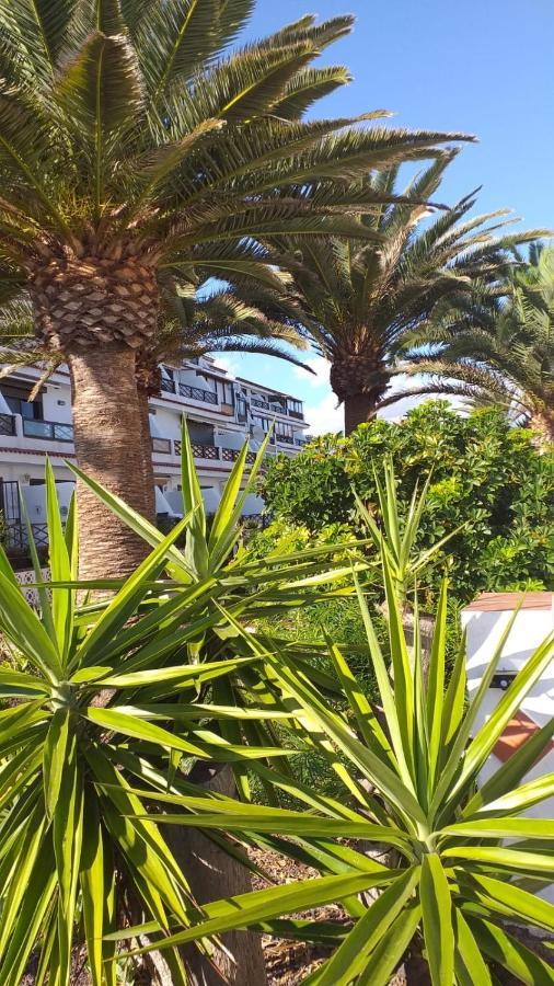Flat Apartment Costa Del Silencio Ngoại thất bức ảnh